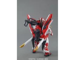 MG 1/100 ASTRAY RED FRAME REVISE -Boutique De Modèles GUN83103 3