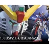 RG 1/144 DESTINY GUNDAM -Boutique De Modèles GUN83115 1