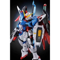 RG 1/144 DESTINY GUNDAM [TITANIUM FINISH] -Boutique De Modèles N2520371001003 004