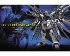 PG 1/60 STRIKE FREEDOM GUNDAM